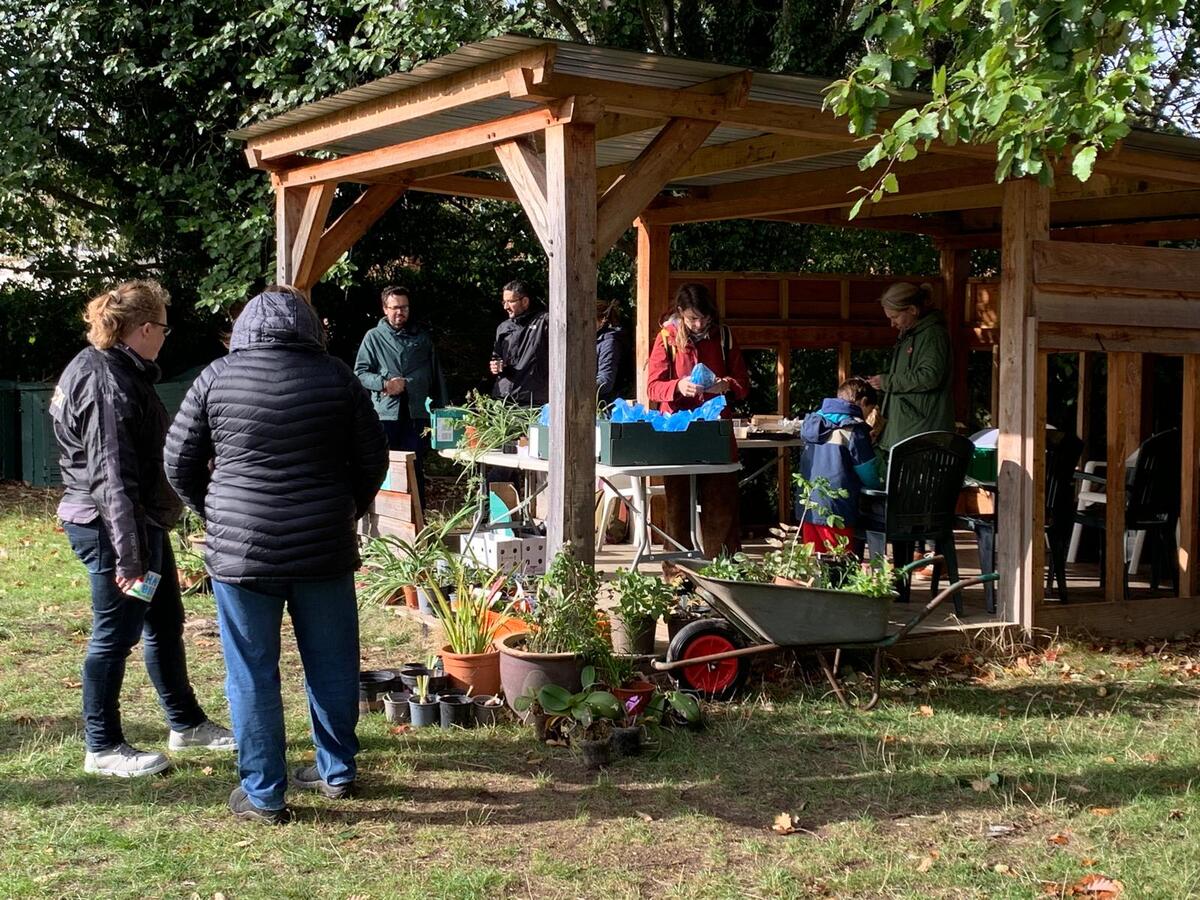 Plant sale at the garden